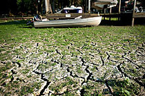 美國(guó)遭受56年來最嚴(yán)重干旱 農(nóng)牧業(yè)受挫