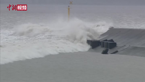 “八月十八”遇上臺風 錢塘大潮驚濤拍岸