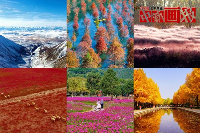 【圖刊】初冬至 大自然多彩冬衣“上新”啦！