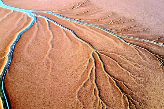 山東東營：黃河入海口現“潮汐樹”景觀