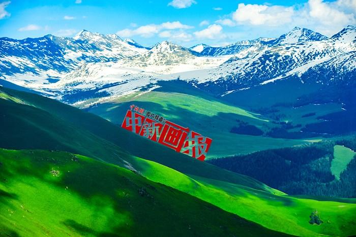 將夏天的“綠” 裝進屏幕里，一組護眼壁紙請查收！