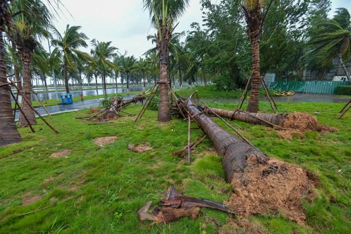 強(qiáng)臺(tái)風(fēng)“麥德姆”攜強(qiáng)風(fēng)雨影響海口