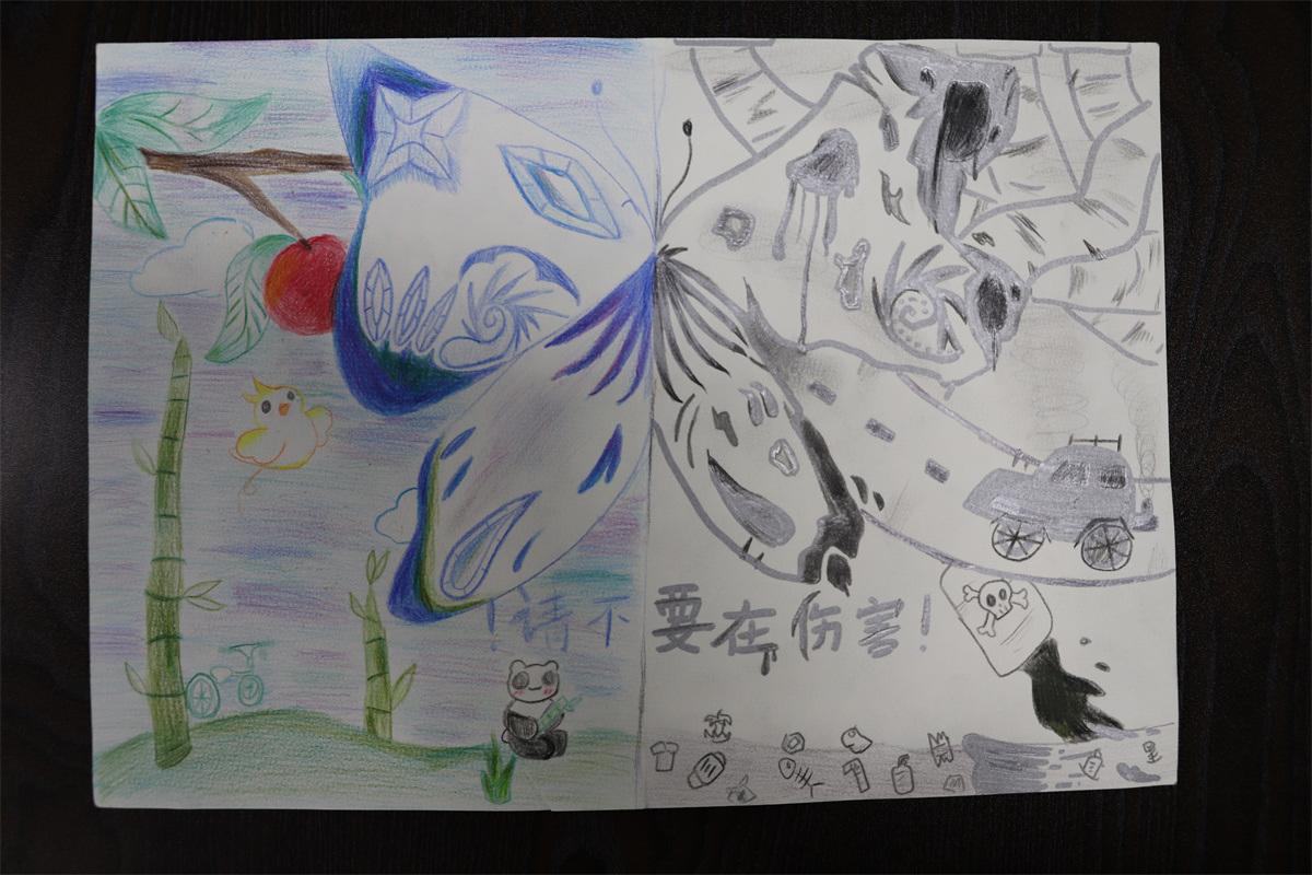 《請不要再傷害！》孫妙然 11歲