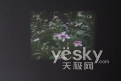 左圖為對焦前,右圖為對焦后