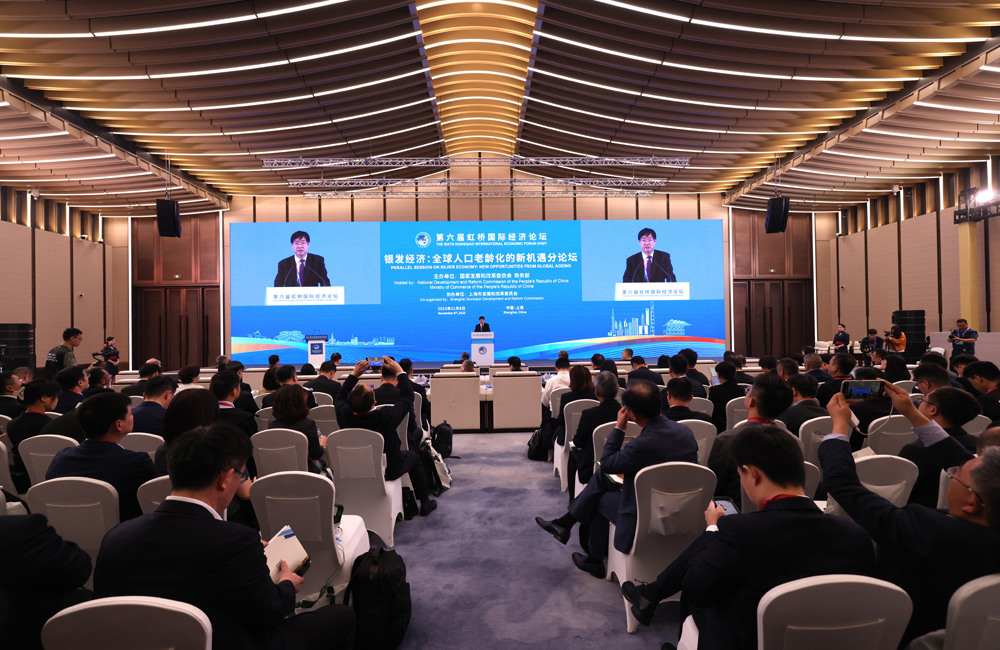 “銀發經濟：全球人口老齡化的新機遇”分論壇舉行