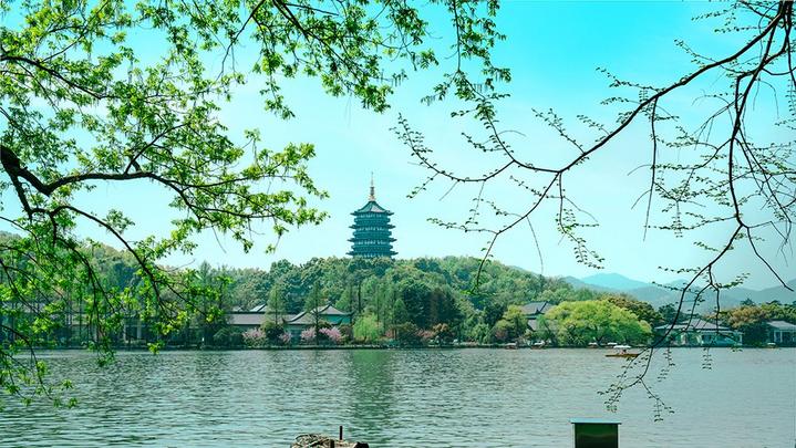 江山如此多嬌 | 西湖美景，八月天吶