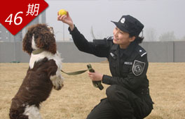 安全衛士 訓犬警花
