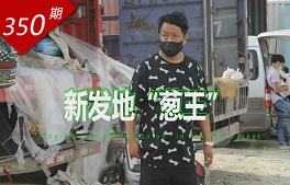 新發地 “蔥王”