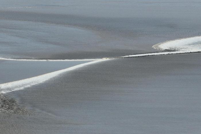 浙江嘉興：錢(qián)塘江大潮形態(tài)多變分外壯觀